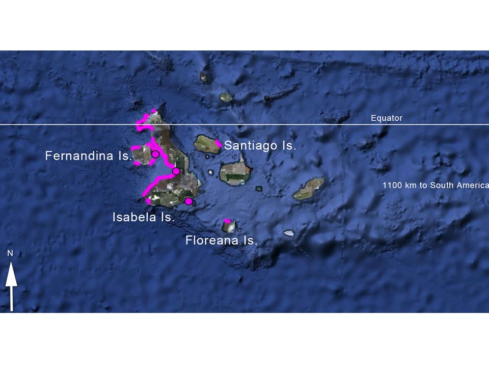 Galapagos Final Map Center For Ecosystem Sentinels   Galapagos Final Map 