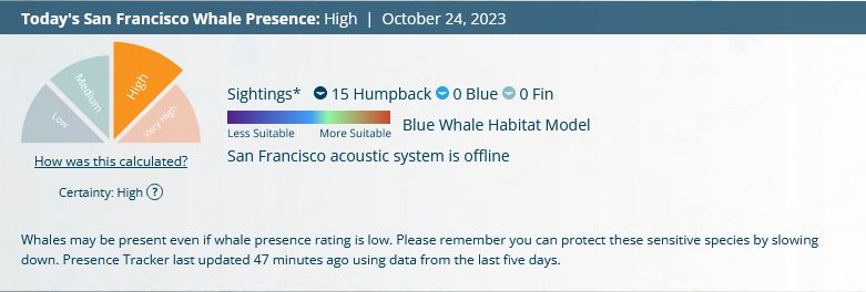 Screenshot from whalesafe.com showing the whale presence for San Francisco on October 24, 2023.