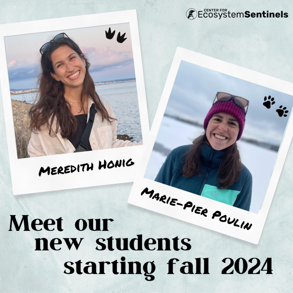 Welcome Marie-Pier and Meredith!